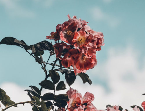 All Hail the Return of the Tube Dress